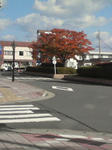 200710230955000.jpg