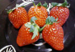 200712191408000.jpg