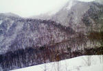 200801061342000.jpg