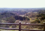 200801061130000.jpg