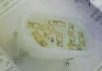 200801301042000.jpg