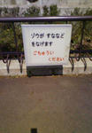 200805101001000.jpg