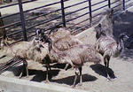 200805101028000.jpg