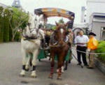200805101321001.jpg