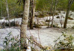 200805101426000.jpg