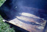 200805111453000.jpg