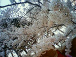 200904191808001.jpg