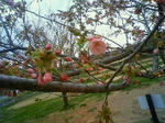 200905041510000.jpg