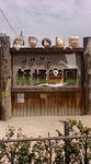 20090512102244.jpg