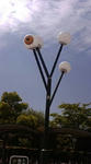 20090512100648.jpg