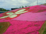 200905151158000.jpg