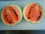 200909050725000.jpg