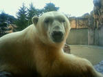 200912081037002.jpg