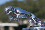 300px-Jaguar_badge.jpg