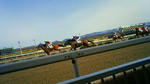 201003281223000.jpg