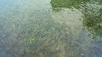 201006131518003.jpg