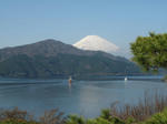 IMG_0084.jpg