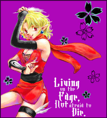 ninja l2