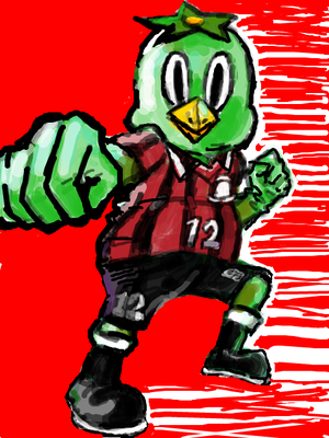 pakka