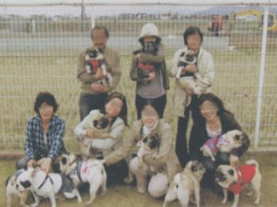 5Picture2.jpg