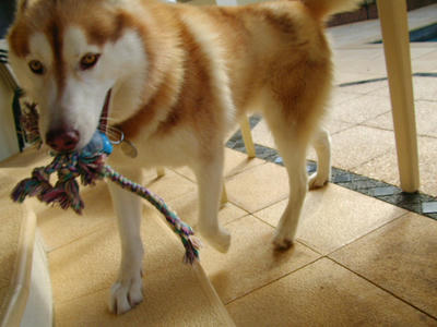 SANY0370.JPG