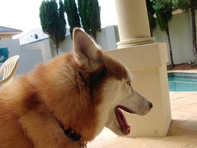 SANY0371.JPG