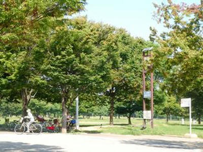 2SANY0377.jpg