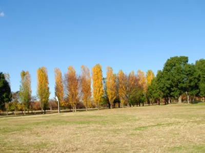 2SANY0405.jpg