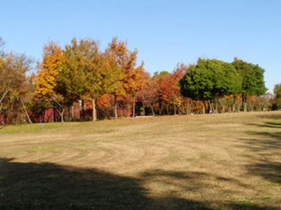 2SANY0411.jpg