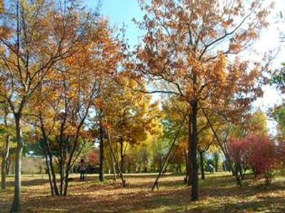 2SANY0425.jpg