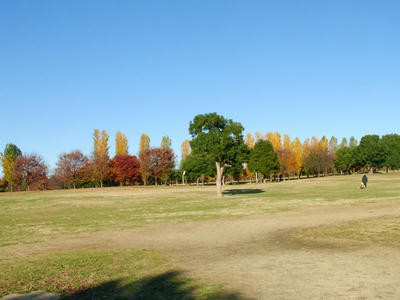 4SANY0403.jpg