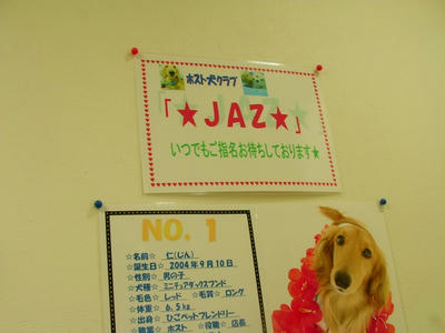2SANY0473.jpg