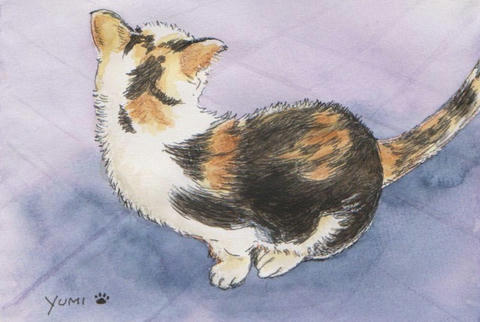 s-neko.jpg