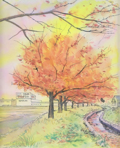 紅葉の桜並木｜やっぱり！水彩画