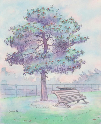 赤い実のなる木～その3と4～｜やっぱり！水彩画