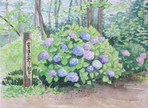 思い出の絵 紫陽花の咲く風景 やっぱり 水彩画