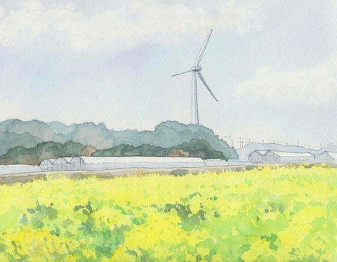 s-nanohana004.jpg