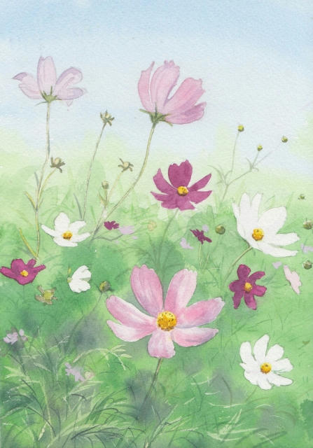 絵画水彩画 ♡♡♡風に揺れるコスモス （手描きコスモスイラスト