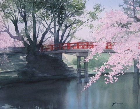 岡崎公園の桜｜やっぱり！水彩画