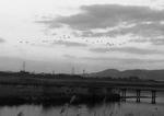 ２００８年１２月２８日１６：３０の写真
