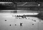 ２００８年１２月２８日１６：３０の写真