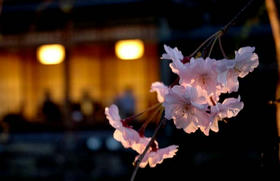 20070404-21.jpg