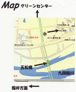 a5255433.jpeg
