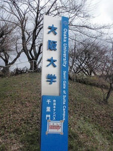 s-P3110077.jpg