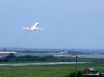 fly.jpg