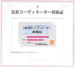 colorcoordinator2.jpg