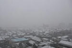 snow0310.jpg