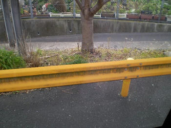 080126-07.JPG