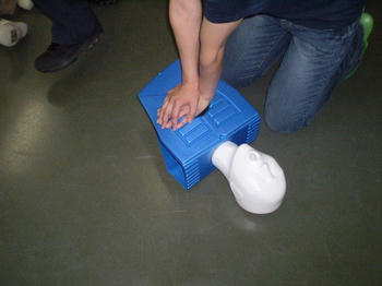 080707-03.JPG