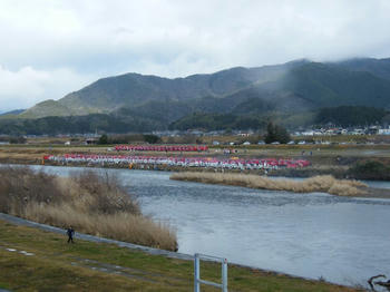 100110-074.JPG